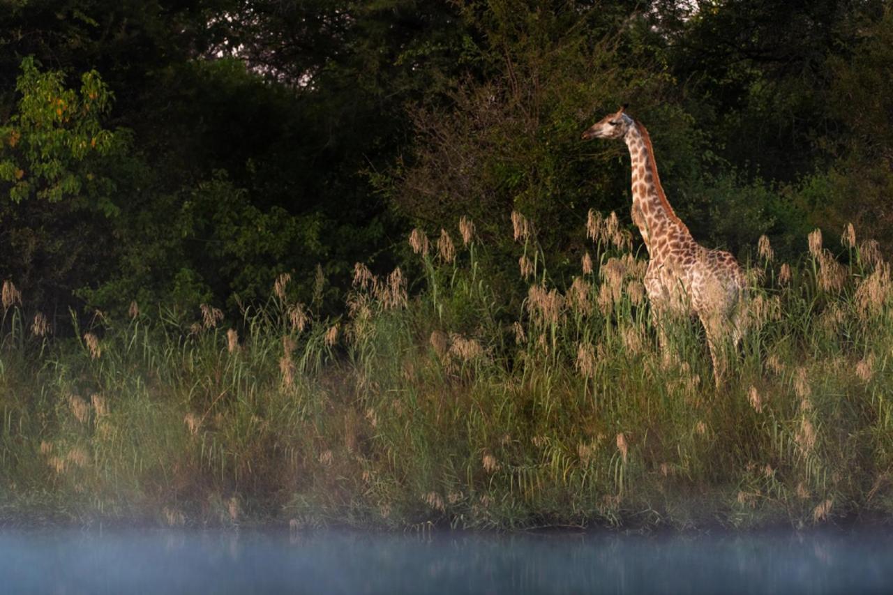 Abelana River Lodge Phalaborwa Eksteriør bilde